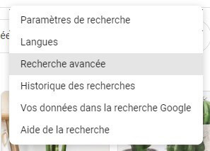 Paramètres de recherche avancée dans la recherche de Google images