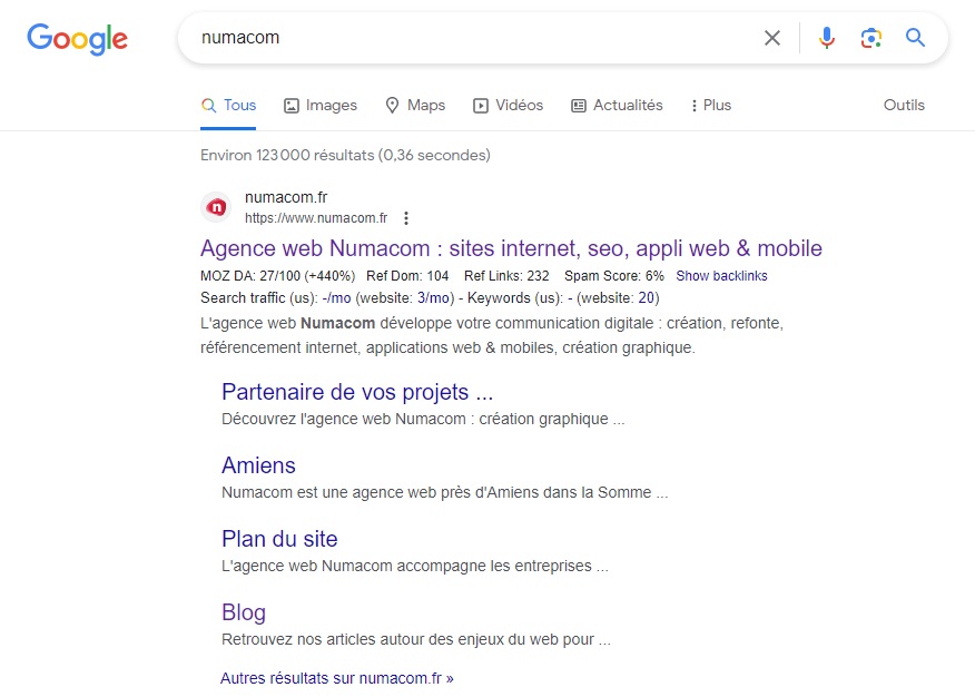 Exemple résultats organiques SERP