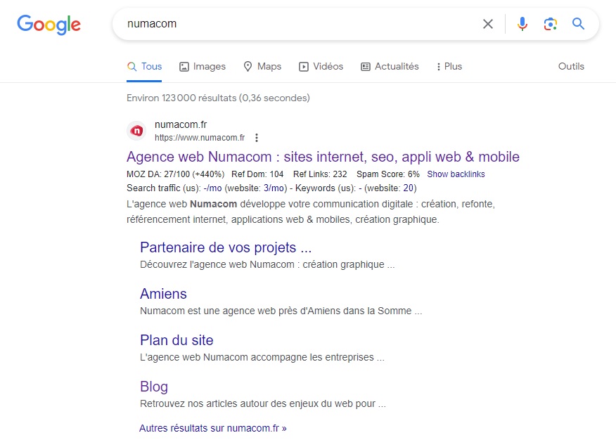 Exemple résultats organiques SERP